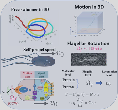 Flow Sensing